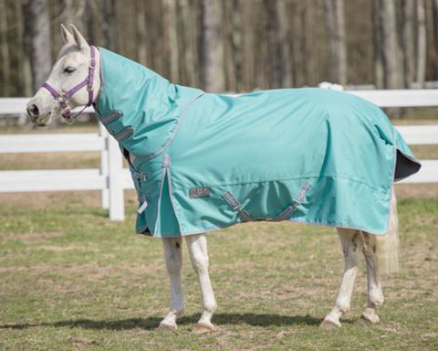 TuffRider® 600D Comfy Medium-Weight Turnout Blanket with Combo Neck