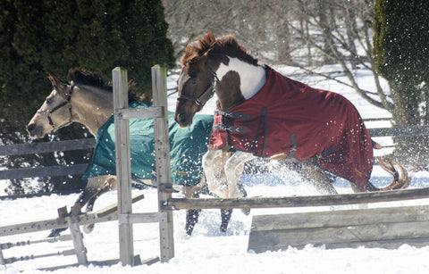 Grewal Equestrian™ 1200D 300 Gram Ripstop Turnout Blanket