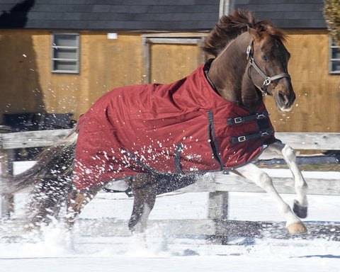 Grewal Equestrian™ 1200D 300 Gram Ripstop Turnout Blanket
