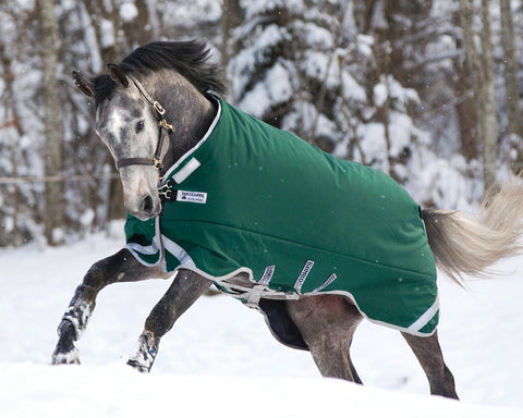 Horseware® Ireland Rambo® Original 400 Gram Heavyweight Turnout with Leg Arches™ - Green/Silver / 66 - Turnout Blankets