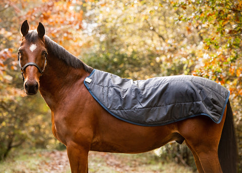 Horseware® Ireland Rambo® Autumn Series Technical Turnout