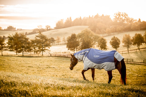 Horseware® Ireland Rambo® Autumn Series Technical Turnout