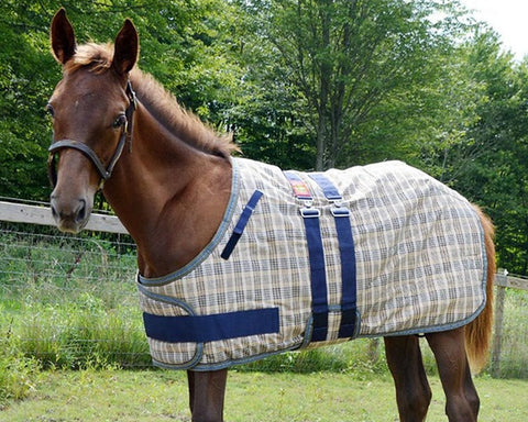 5/A Baker® Expand-O-Blanket Turnout for Foal & Pony