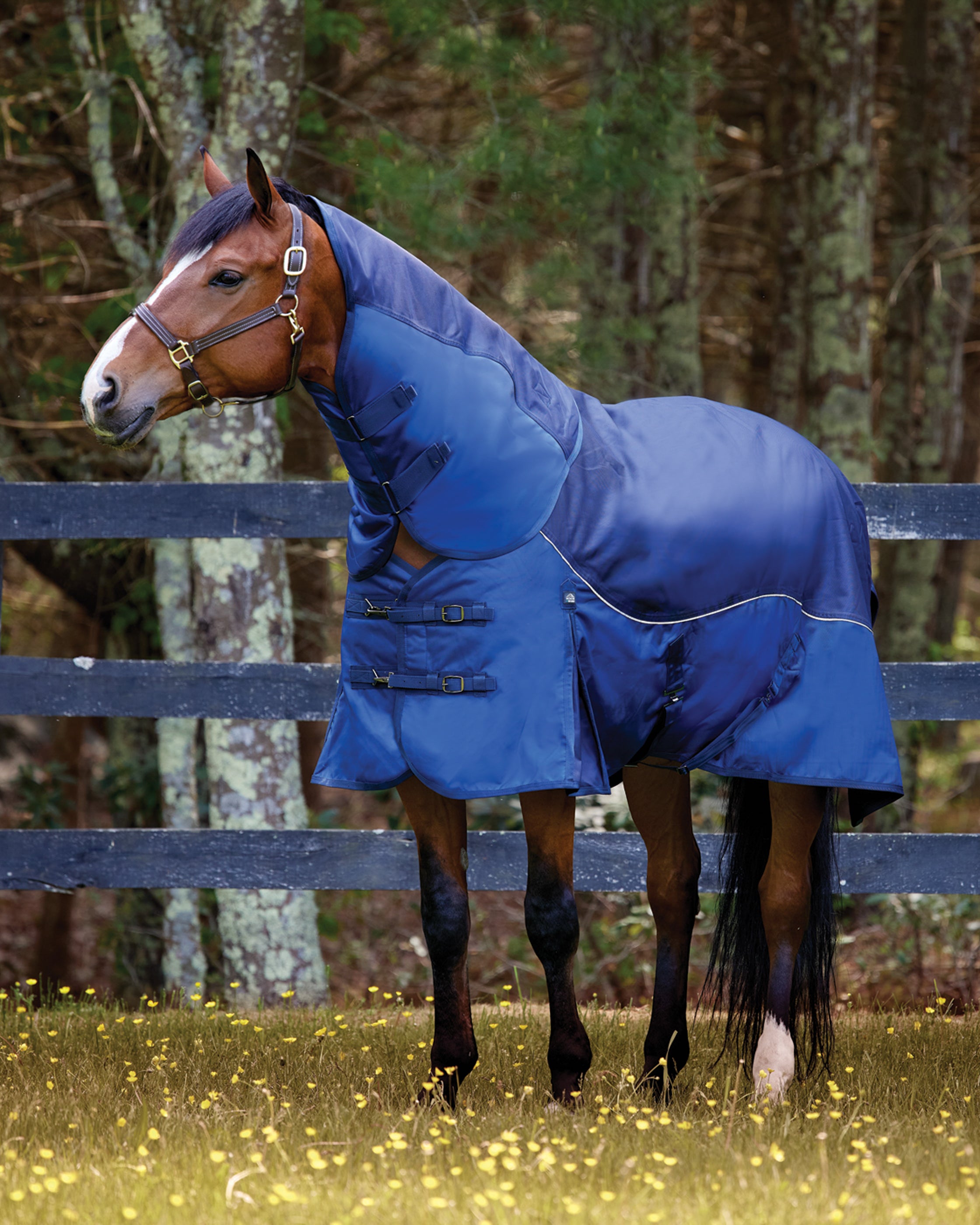 NorthWind™ Light-Weight Turnout Blanket with Detachable Neck–100