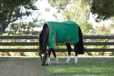 WeatherBeeta® ComFiTec™ Prelim Standard Neck Medium-Weight Turnout Blanket