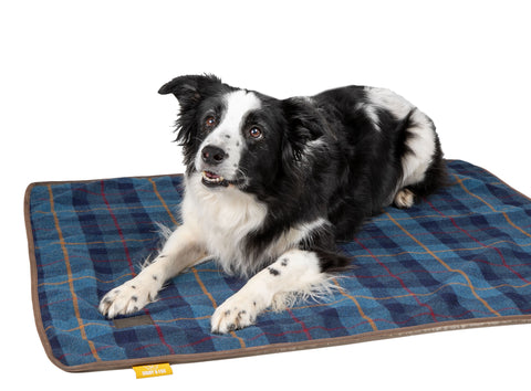 Shires Digby & Fox Large Tweed Blanket
