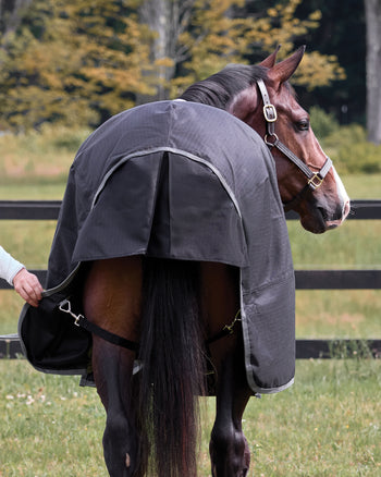 Rider’s International™ Supreme 100 Gram Turnout Blanket