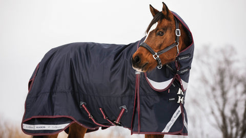 LeMieux® Kudos 350 Gram Turnout Blanket with Leg Straps