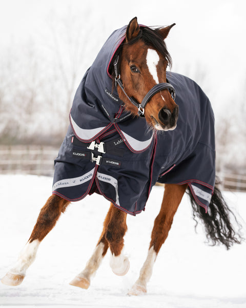 LeMieux® Kudos 350 Gram Turnout Blanket with Leg Straps