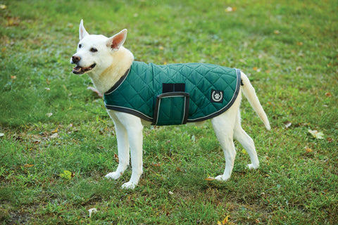 Dover Dog Quilted Dog Sheet