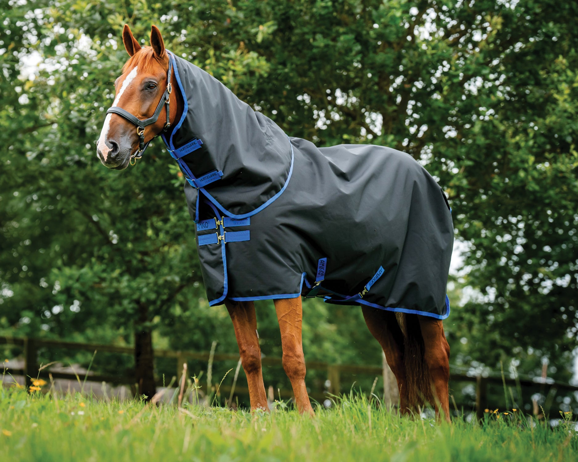 Couverture De Pluie Amigo Hero Pour Poney - Taille 42, Neuve, Imperméable, Fabriquée En Irlande