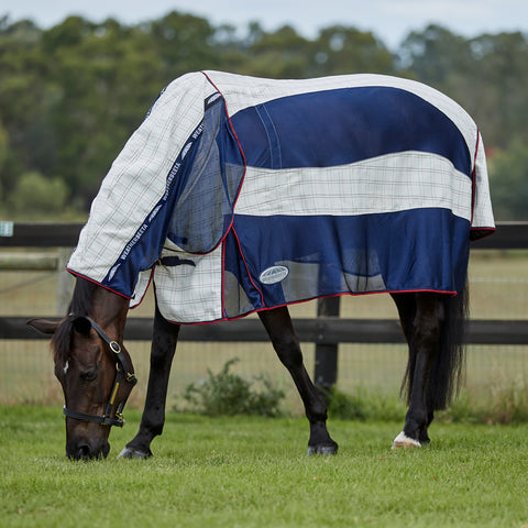 WeatherBeeta® Breeze with Surcingle IV Combo Neck Summer Sheet - Fly Sheets