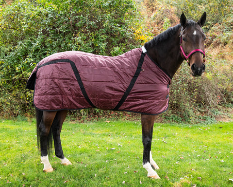 Snuggie Heavyweight Stable Blanket, Medium
