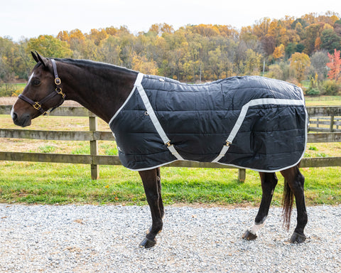 Snuggie Heavyweight Stable Blanket, Medium