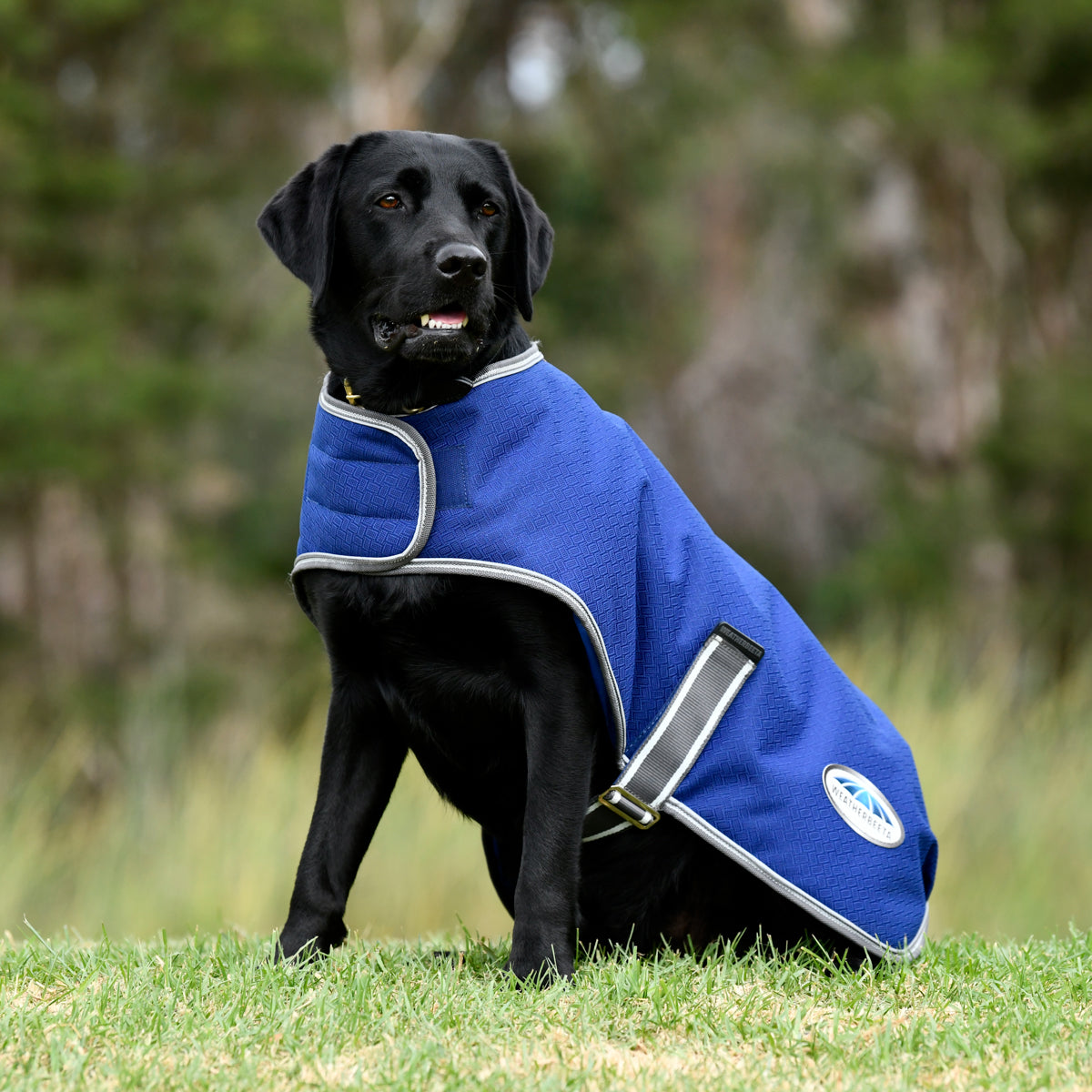 COOTIE⭐︎Check Weather Cloth O/C Jacket XL WeatherBeeta® Comfitec Premier Free Parka Dog Coat – Dover Saddlery