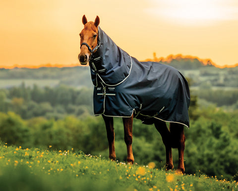 Horseware® Ireland Amigo® Ripstop 900D 100 Gram Plus Turnout