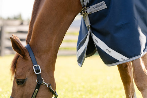Horseware® Ireland Amigo® 1200D Turnout Sheet Standard Neck