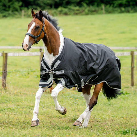 Horseware® Ireland Amigo® 1200D Turnout Standard Neck