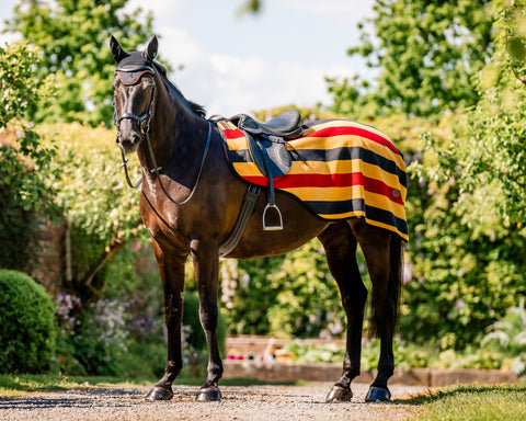Horseware® Ireland Newmarket Exercise Sheet