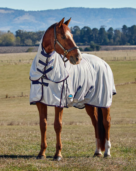 WeatherBeeta® ComFiTec™ Airflow Fly Sheet Combo