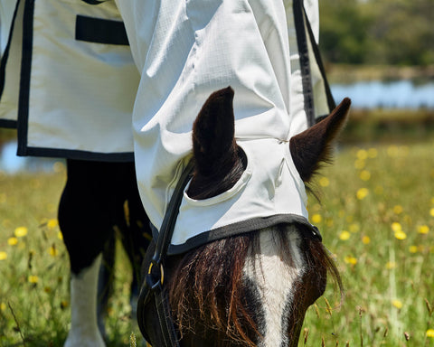 WeatherBeeta™ ComFiTec™ Sweet Itch Shield Fly Sheet Combo
