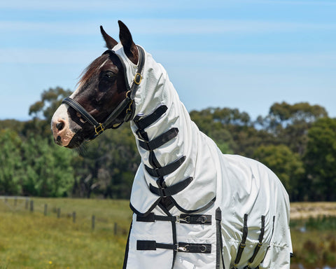 WeatherBeeta™ ComFiTec™ Sweet Itch Shield Fly Sheet Combo
