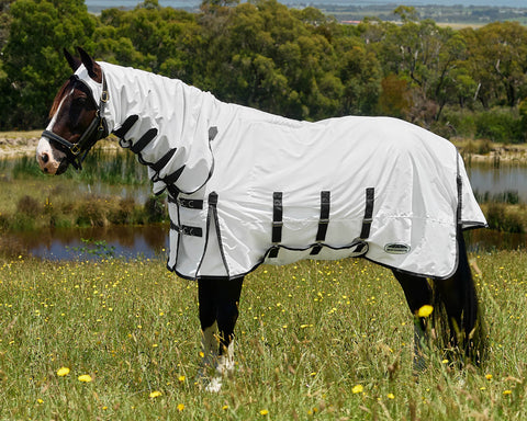 WeatherBeeta™ ComFiTec™ Sweet Itch Shield Fly Sheet Combo