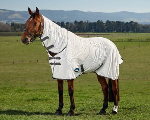 WeatherBeeta® ComFiTec™ Tyro Fly Sheet Combo