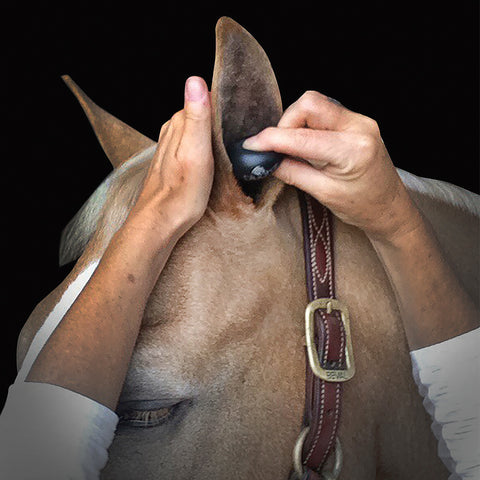 Plughz Ear Plugs 2-Pack