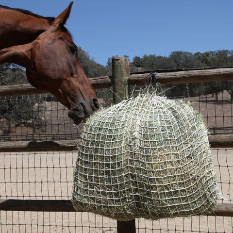 Freedom Feeder Day Net