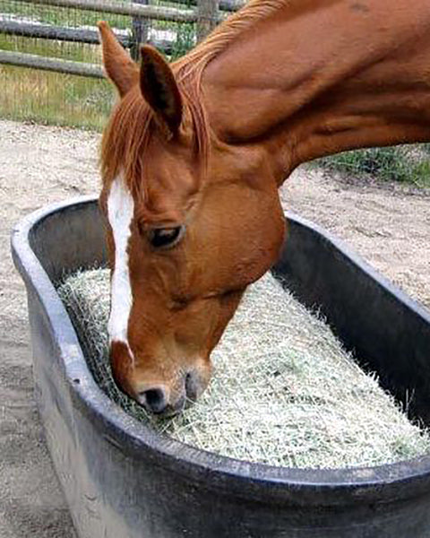 Freedom Feeder Full Bale Net