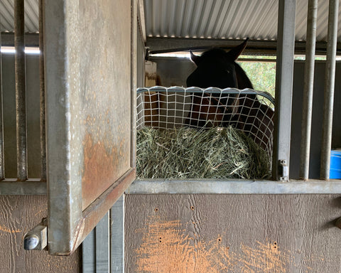 Kensington™ Freedom Feeder Adjustable Frame