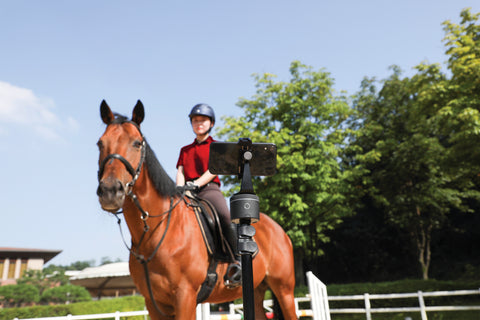 Pivo® Equestrian Standard Pack