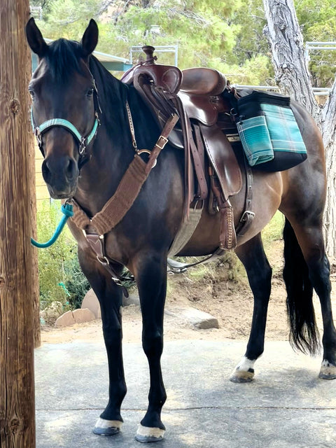 Kensington™ Western Trail Bag