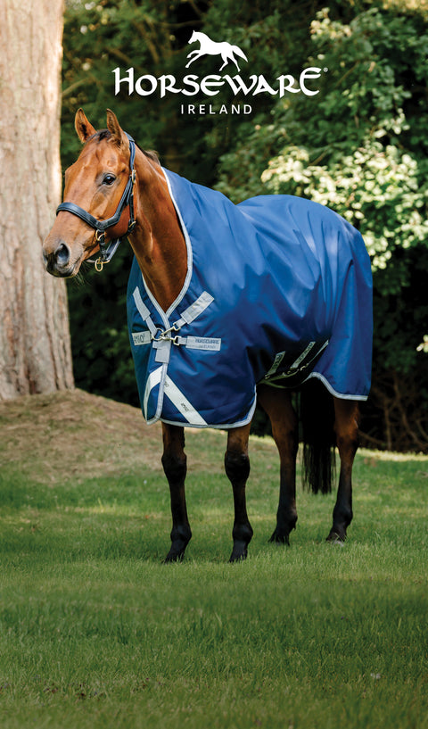 Brown horse wearing blue blanket. Horseware Ireland logo.