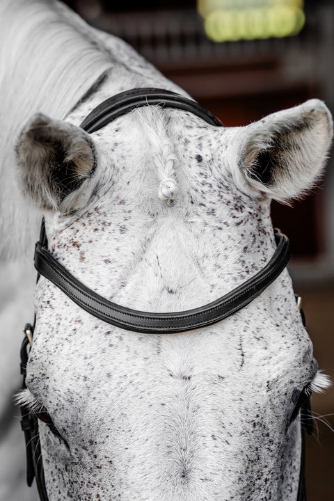 Horseware® Micklem Competition Bridle