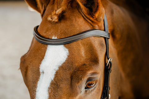 Horseware® Micklem Competition Bridle