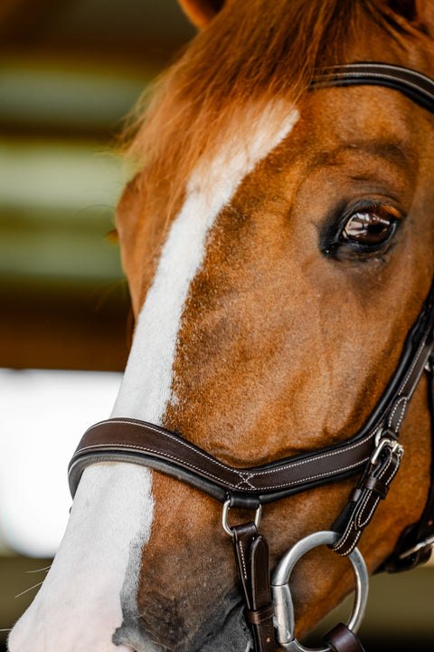 Horseware® Micklem Competition Bridle