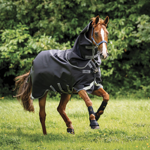 Brown and white horse wearing gray blanket galloping in grass