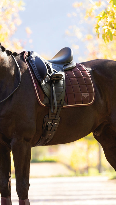 Dark colored saddle and saddle pad on dark colored horse