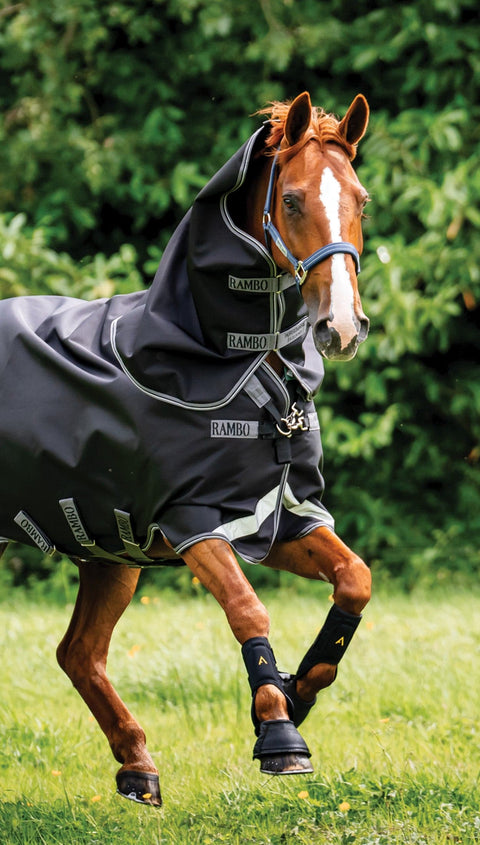 Brown and white horse wearing gray blanket galloping in grass