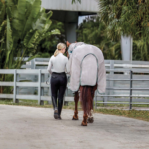 Darkened point of view image of girl dressed in schooling dressage apparel leading her chestnut horse in fly gear.