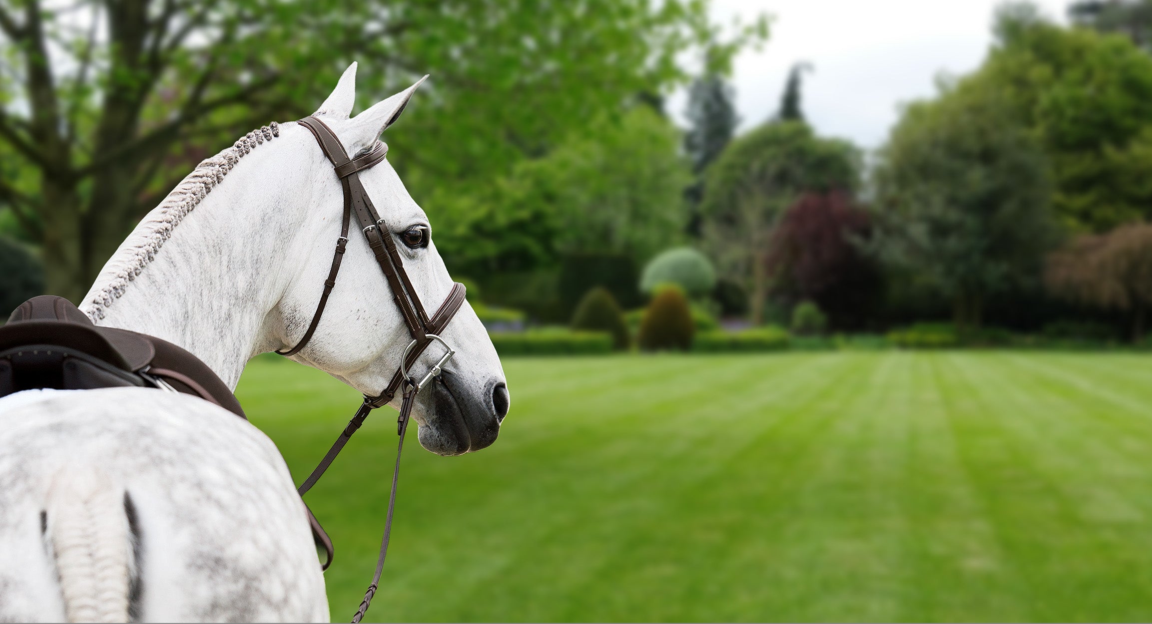 Dover Saddlery English Tack & Riding Apparel