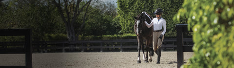 Women dressed in show apparel walking dark bay horse with chrome dressed to show in the hunter ring.