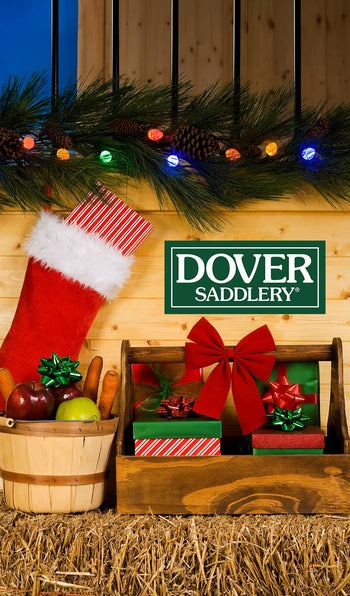 Christmas-themed display with a red stocking, gift boxes, and a basket on hay, featuring the Dover Saddlery logo.