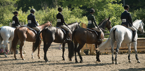 Equitation riders lined up in flat class waiting to see how the class is pinned