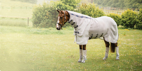 Chestnut horse in turnout wearing pale silver Rambo fly sheet with neck and Rambo fly boots