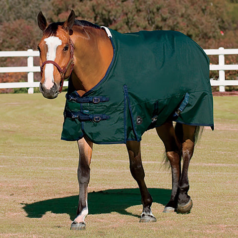 Bay horse with with blaze turned out in paddock with green turnout blanket on