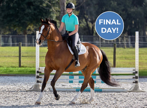 Young woman cantering a bay horse with chrome in the ring on a sunny spring morning. A burst says Final Day.