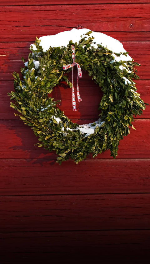 Green wreath with snow on a red wooden door